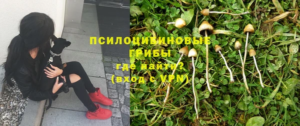 амфетамин Алексеевка