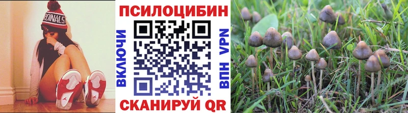 Псилоцибиновые грибы MAGIC MUSHROOMS  OMG маркетплейс  Иркутск 